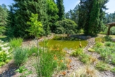 Gartenteich - Historisches Fachwerk mit modernem Wohnkomfort – modernisiert mit Pool & Sauna auf Naturgrundstück