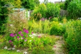 Reihenendhaus mit viel Platz, Dachterrasse und wunderbarem Garten. Provisionsfrei! - Garten